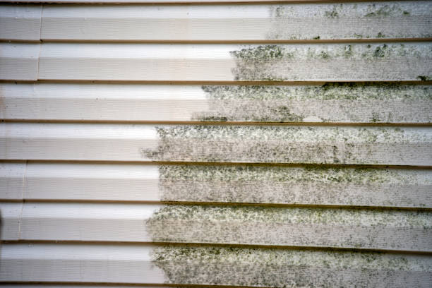 Best Moving and Downsizing Cleanouts  in Sandy, UT
